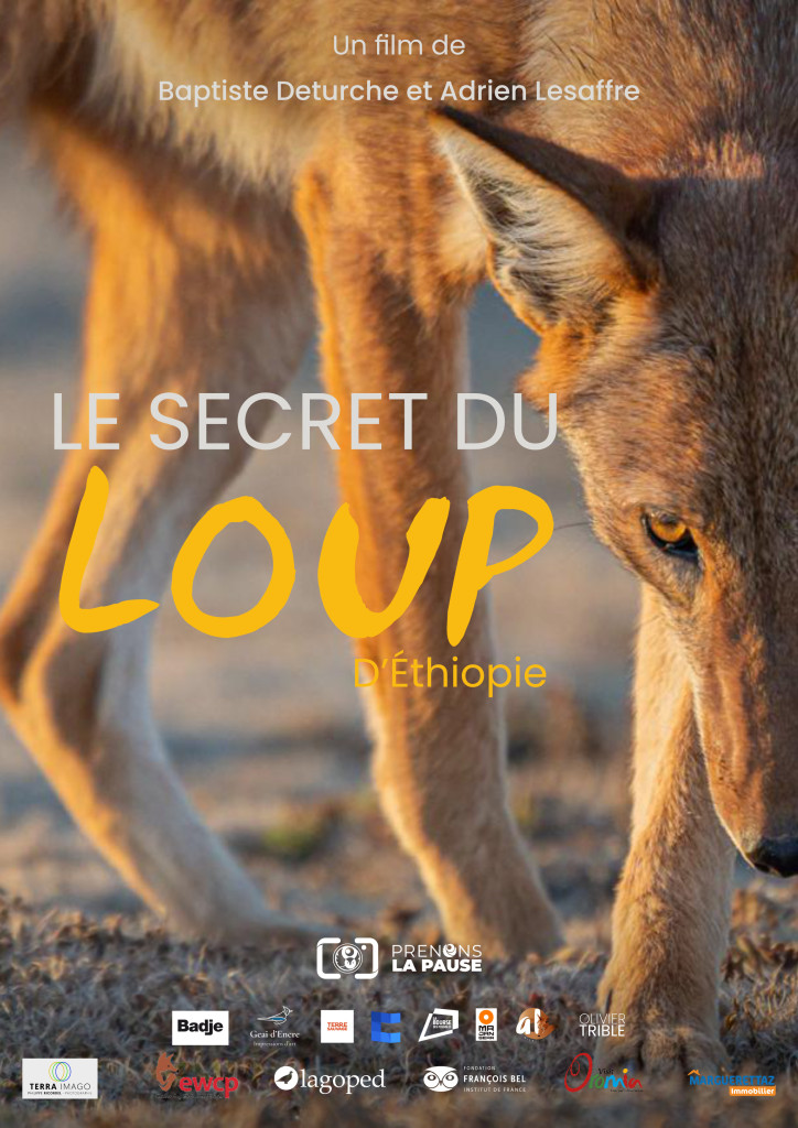Le Secret du Loup d&rsquo;Éthiopie
